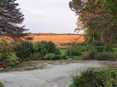 PXL_20220924_234243464.jpg