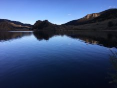 7DE57E5E-6EDB-43B8-9628-F38D06725BB2.jpeg
