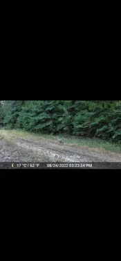 Screenshot_20220926-114450_Gmail.webp