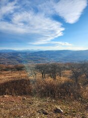 20221028_172746.jpg