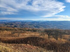 20221028_172749.jpg