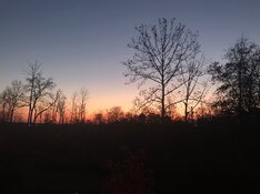 90CB675D-77C1-4088-B3C0-7089A46878AA.jpeg