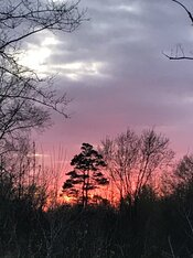 6D01DF8B-674A-4E1E-AF46-30A2188F796A.jpeg