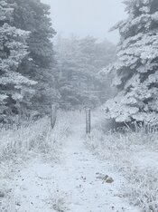 20221113_114730.jpg