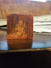 20221216_171658.jpg