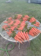 IMG_20220408_185547.jpg