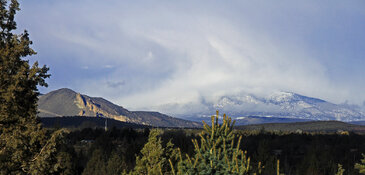 kitchen window view.jpg