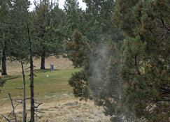 juniper pollen cloud3 2023.jpg