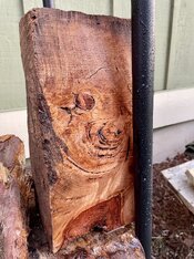 IMG_3104.jpeg
