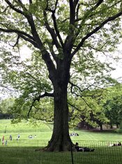 C01A9B05-BA11-435F-8D96-6A941A0C464B.jpeg