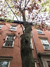 281A0420-AA5F-4759-A1EF-FE0EA9DA320B.jpeg