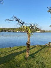 IMG_1460_Original.jpeg
