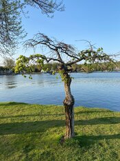 IMG_1461_Original.jpeg