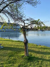 IMG_1462_Original.jpeg