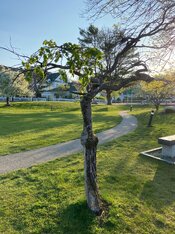 IMG_1463_Original.jpeg