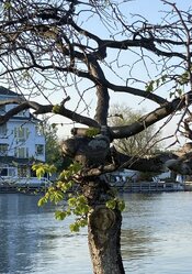 IMG_1462_Original.jpeg