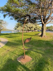 IMG_1458_Original.jpeg