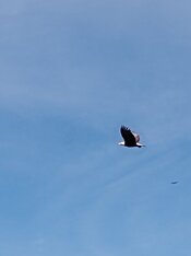 IMG_20230514_152937824.jpg