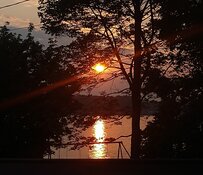 IMG_20230610_201838001.jpg