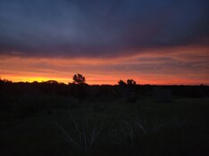 20230608_061945.jpg