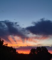 20230610_062717.jpg