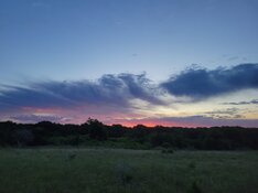 20230610_063058.jpg