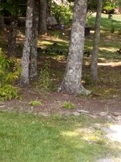 IMG_20230617_112454.jpg