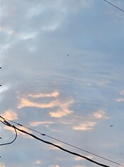 20230705_064021.jpg
