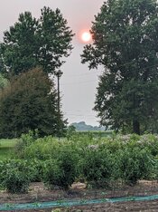PXL_20230717_002643074.jpg