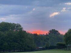 IMG_5930.jpeg