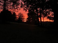 IMG_9384.jpeg