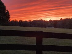 IMG_9381.jpeg