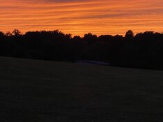 IMG_9378.jpeg