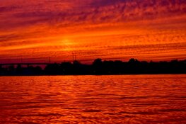 7BA8D2C5-263D-44C6-B3EC-FD87BC419413.jpeg