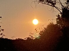 IMG_9392.jpeg