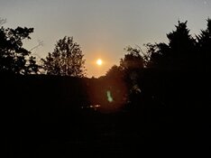 IMG_9393.jpeg