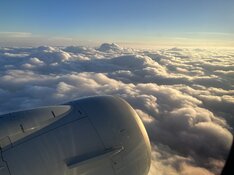 IMG_7421.jpeg