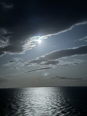 IMG_2006.jpeg