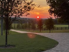 IMG_9547.jpeg