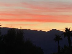 IMG_0005.jpeg