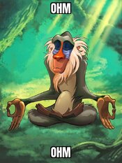 Rafiki Meditating 14112023102747.jpg