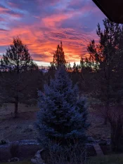 sunrise.webp