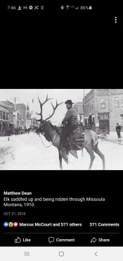 Screenshot_20201115-074651_Facebook.webp