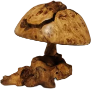 20231125_204548.webp