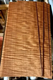 veneer.webp