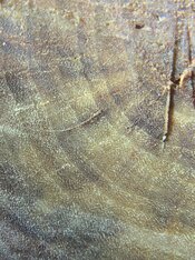 186C2911-2623-4985-B278-73887A2E4C33.jpeg