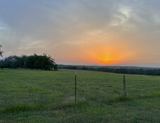 Sunset - Knibbe Ranch - Spring Branch - Final.jpg