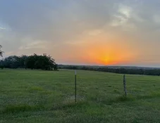 Sunset - Knibbe Ranch - Spring Branch - Final.webp