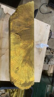 Cheese Wood Burl Billet 🧀 | WoodBarter