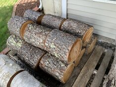 IMG_7135.jpeg